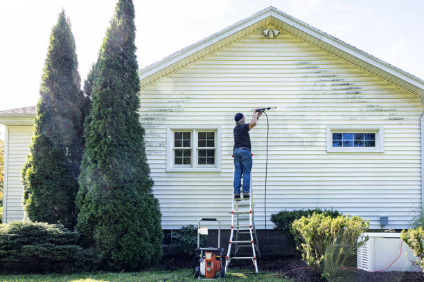 Best Solar Panel Cleaning  in Vaville, CA